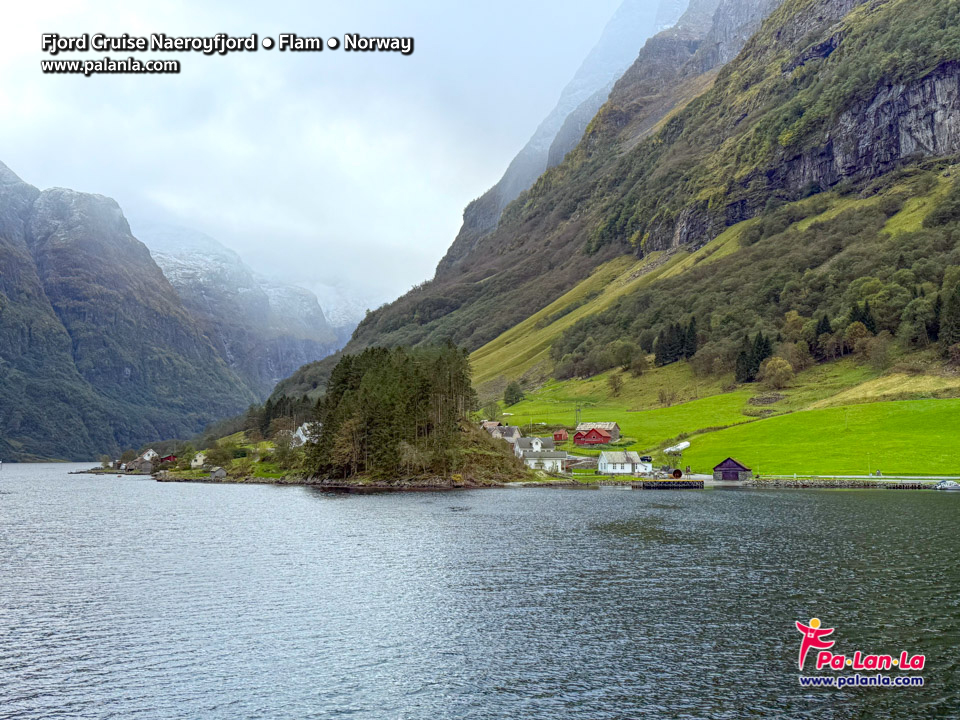 Fjord Cruise Naeroyfjord